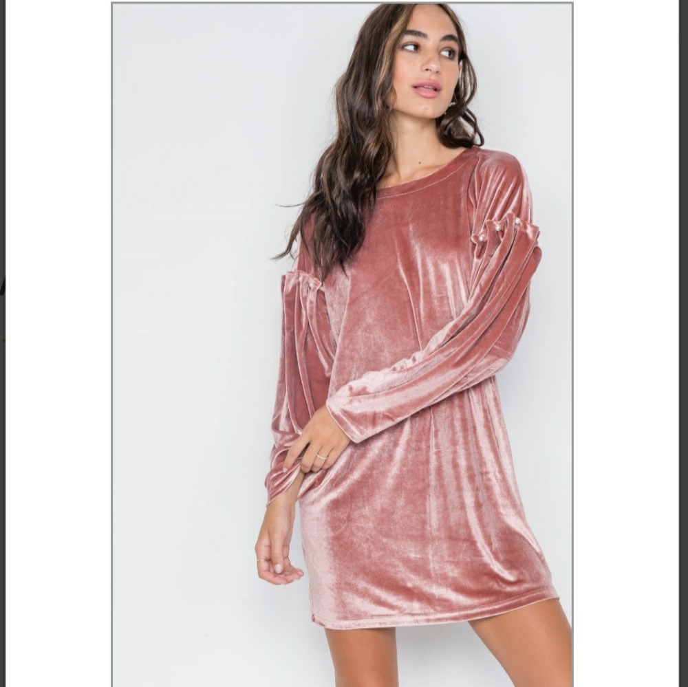 Mauve Velvet Pearl Detail Sleeve Dress - Picture 2 of 10